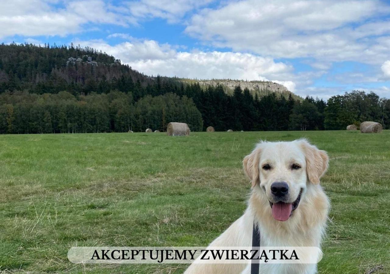 Michalowka Pokoje I Domki Karlow Exteriér fotografie